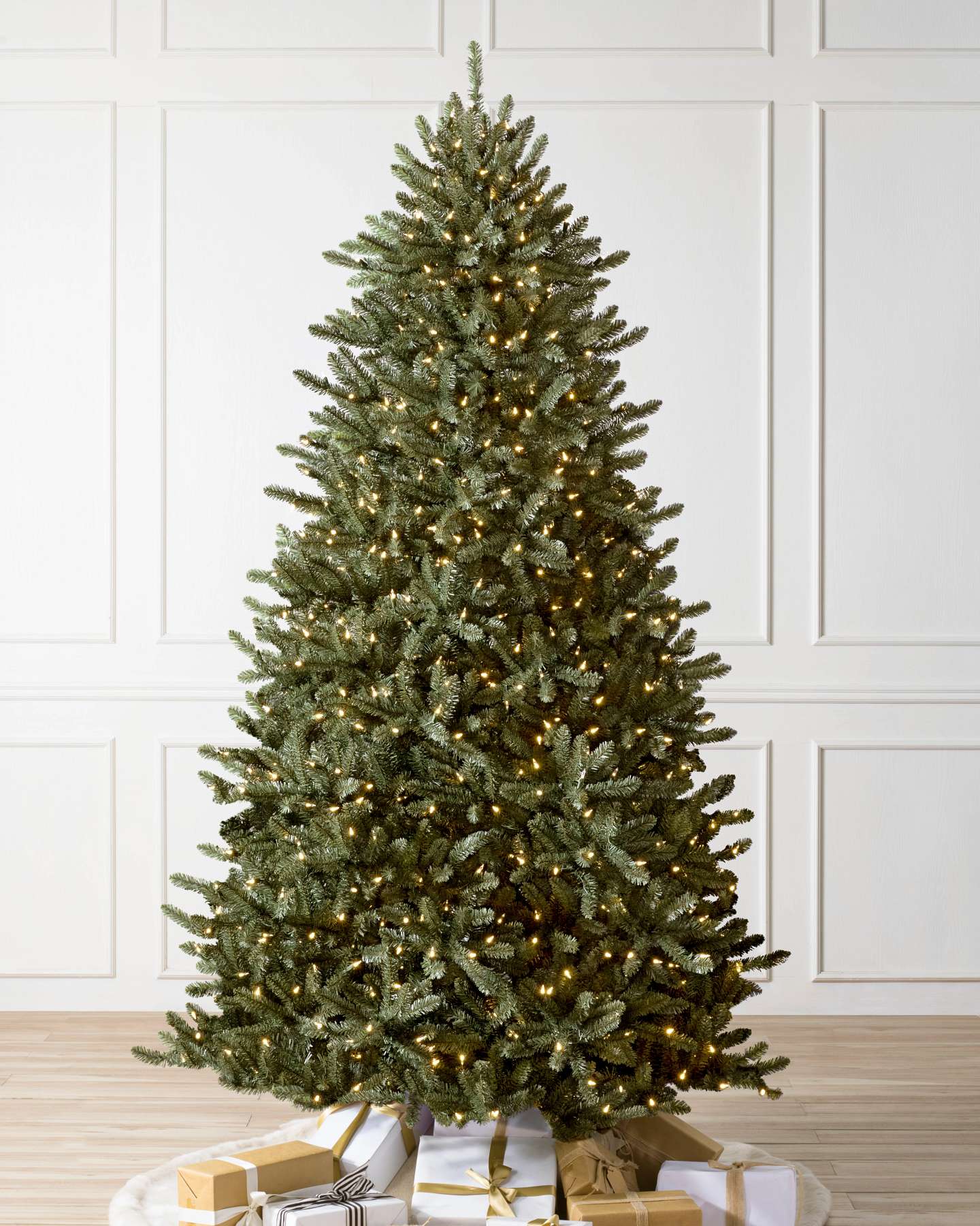 4' Canadian Blue Green Spruce