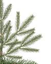 Brewer Spruce Tree by Balsam Hill Detail