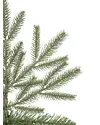 Brewer Spruce Tree by Balsam Hill Detail