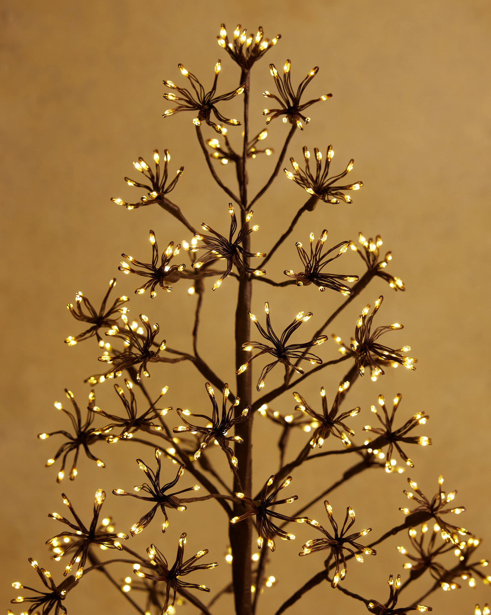 OUT-2441004-2_5ft-Brown-