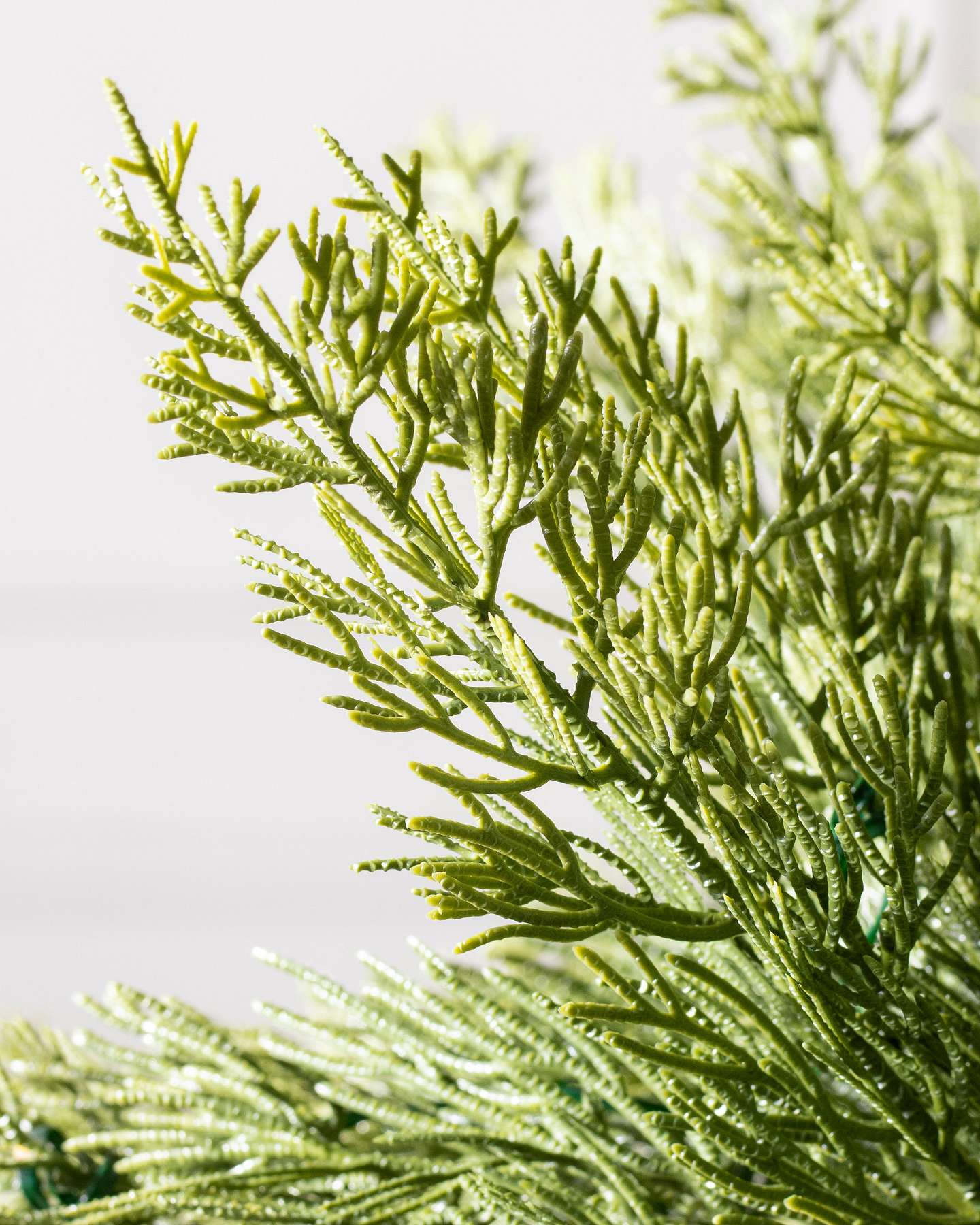Balsam Hill Grand Canyon Cedar Artificial Christmas Tree Detail