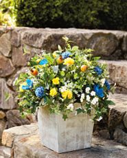 Blue and yellow flowers in a rustic planter placed on stone steps