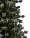 Frosted Sugar Pine Tree by Balsam Hill Closeup 40