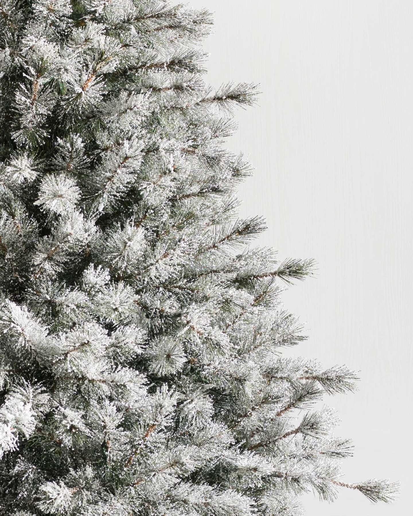 Balsam Hill Frosted Sugar Pine Artificial Christmas Tree Unlit Closeup