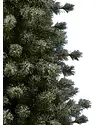Frosted Sugar Pine Tree by Balsam Hill Closeup 40