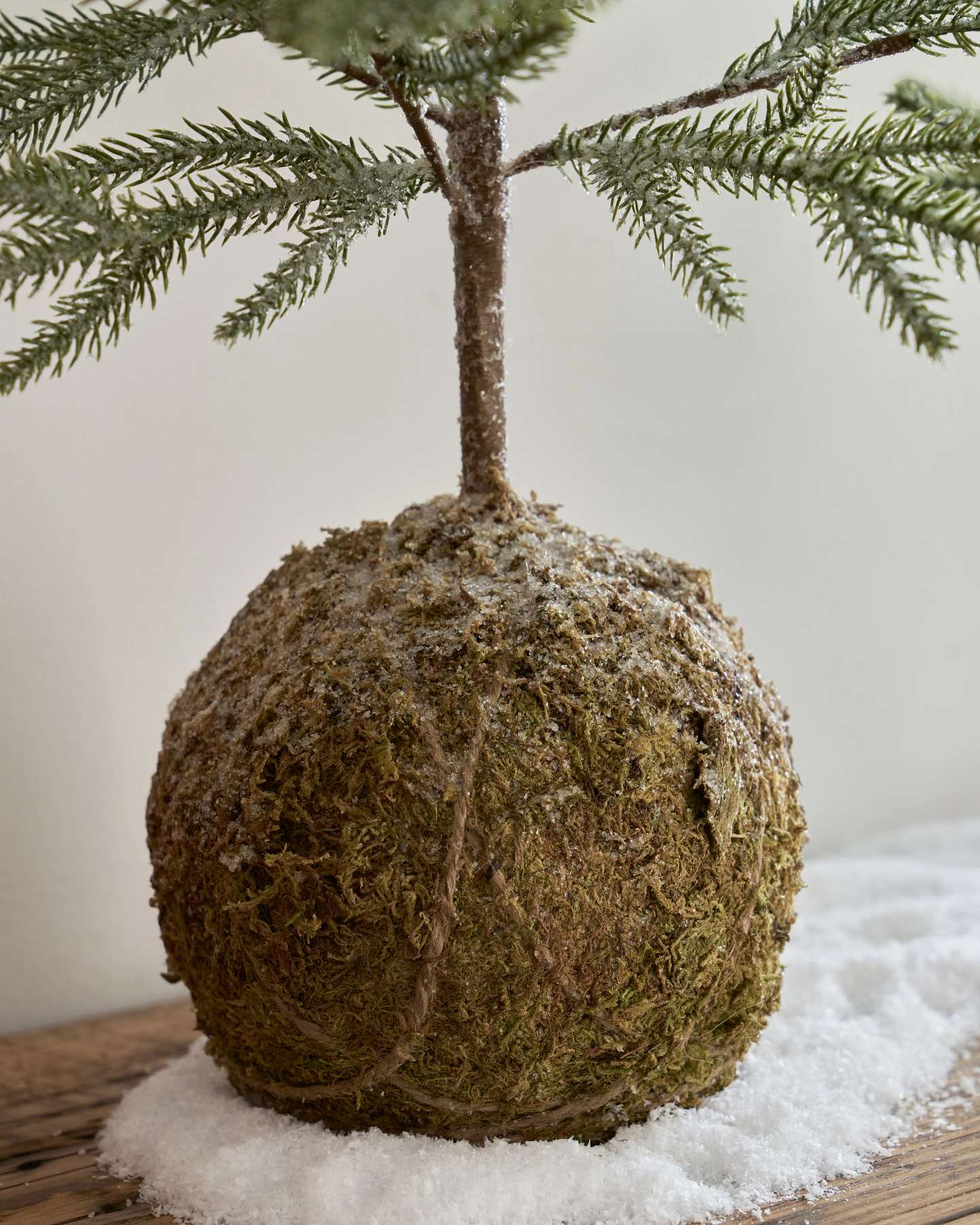 Tabletop Pine Trees with Moss Base, Set of 2