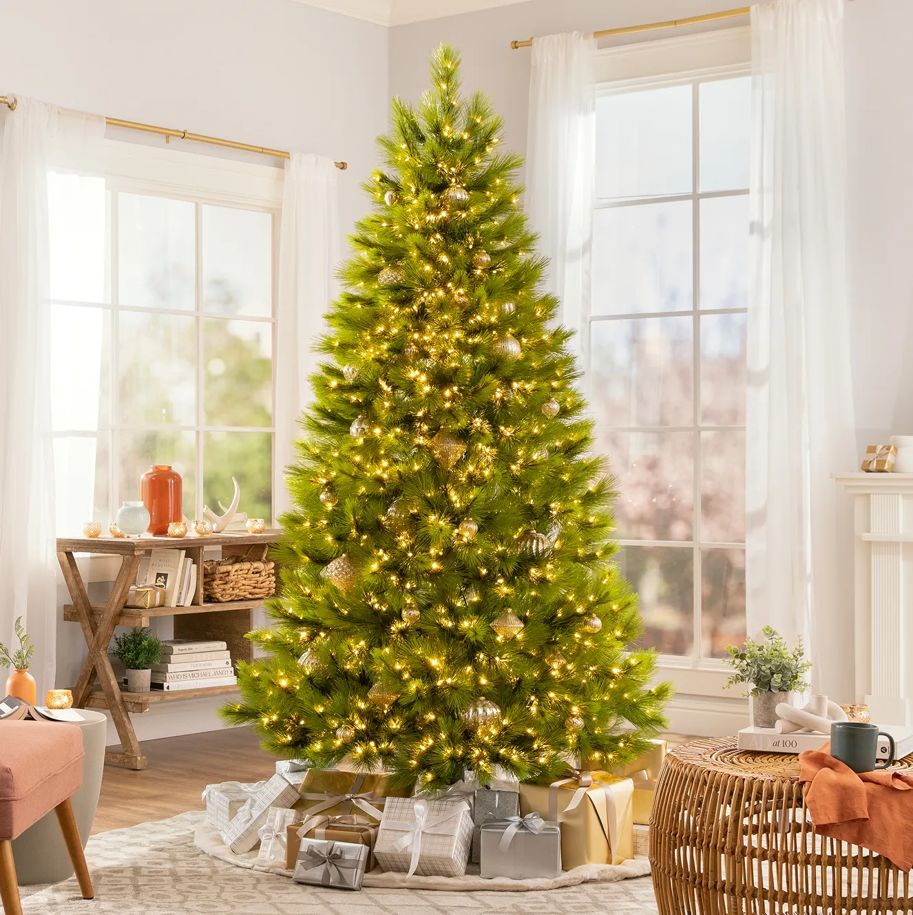 Shop Bestselling Trees