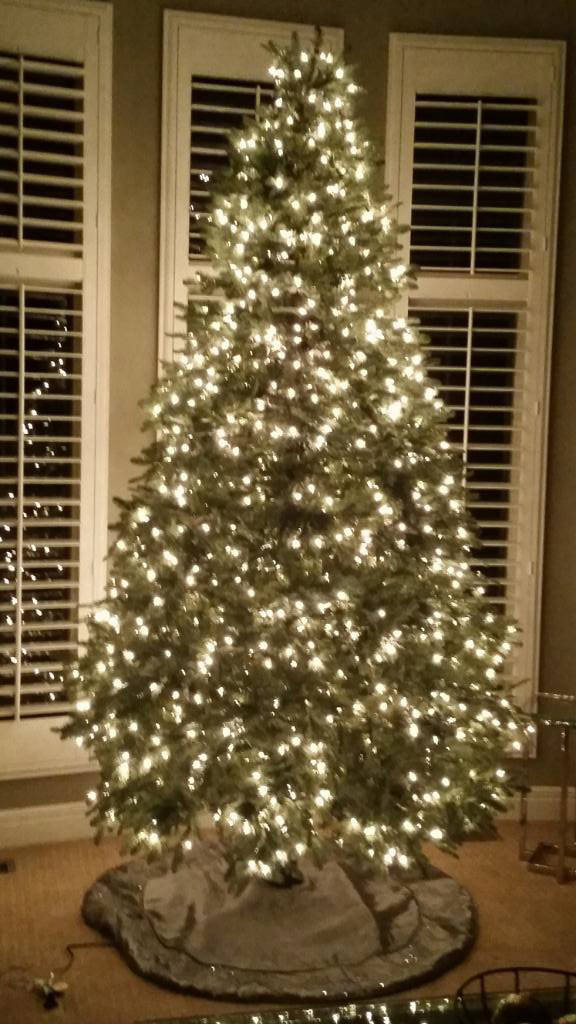 BH Balsam Fir Flip Christmas Tree™ Balsam Hill