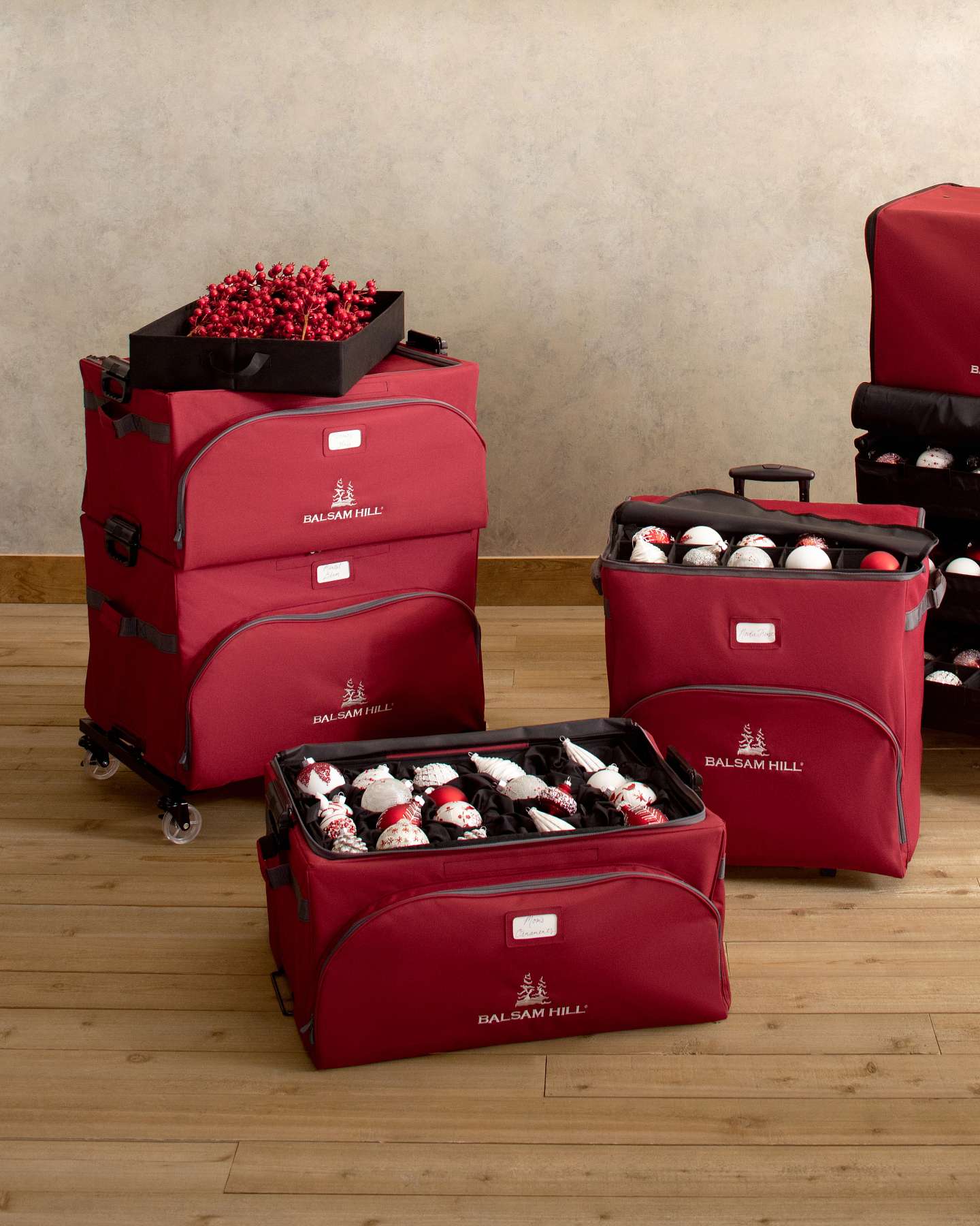 Stack & Lock Large Storage Case
