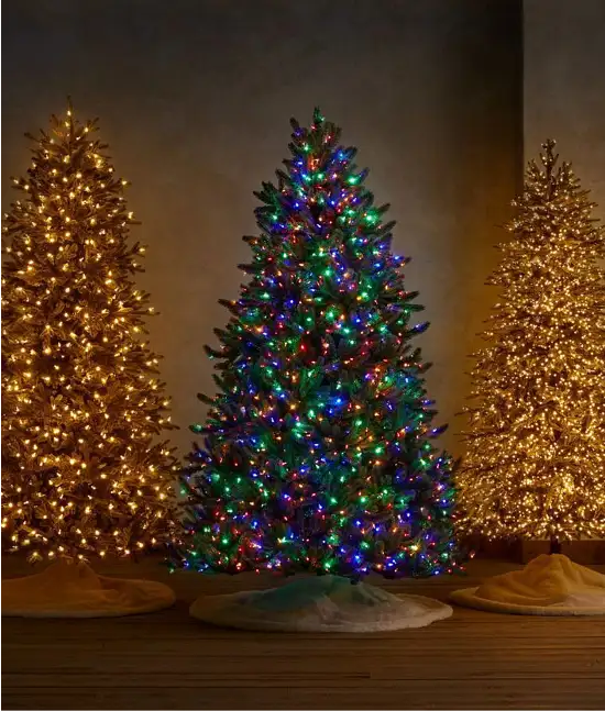Weihnachtsbäume ansehen