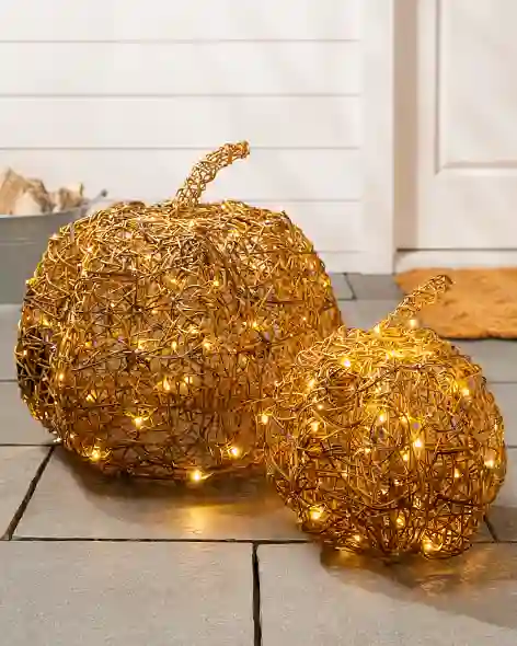 Outdoor LED Wire Pumpkins Set of 2 SSC by Balsam Hill