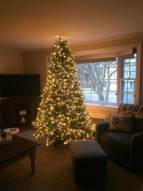 BH Balsam Fir Flip Christmas Tree™ Balsam Hill