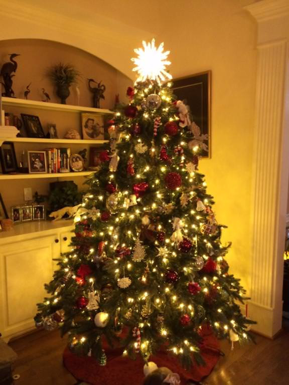 Durango christmas tree