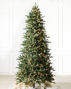 Candlelight™ Clear LED Lights Berkshire Mountain Fir Tree by Balsam Hill SSC 10