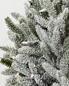 BH Frosted Fraser Fir\u00AE Wreath by Balsam Hill Closeup 15