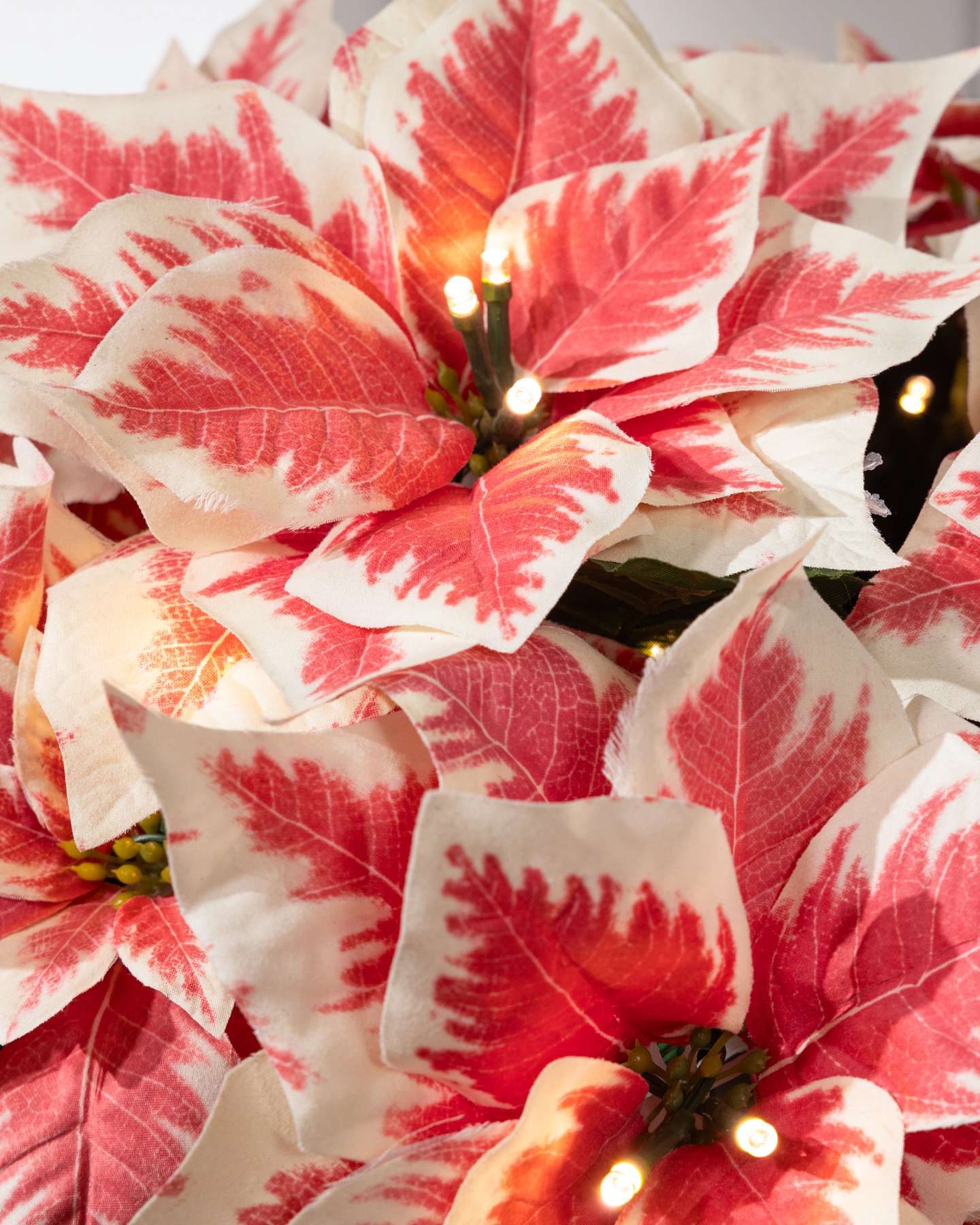 Balsam Hill Large Marbled Outdoor Lit Poinsettia Celebration Artificial Flower Arrangement Closeup Zoom