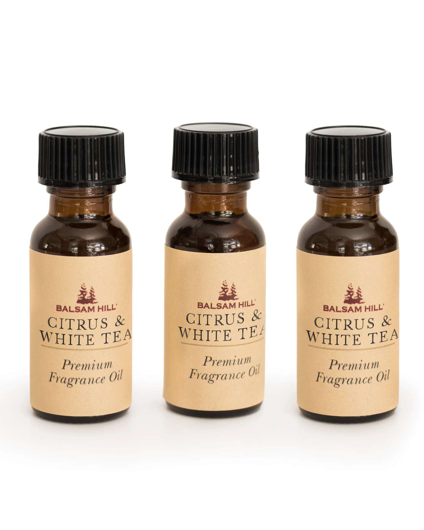 Balsam Hill Citrus and White Tea Scents of the Season Fresh and Inviting Aroma