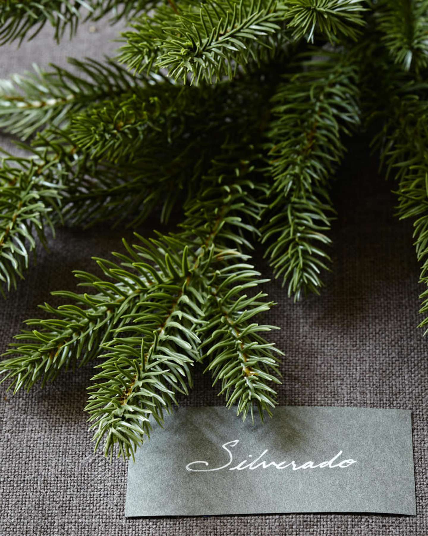 Balsam Hill Silverado Slim Christmas Tree Illuminated for a Cozy Holiday Look