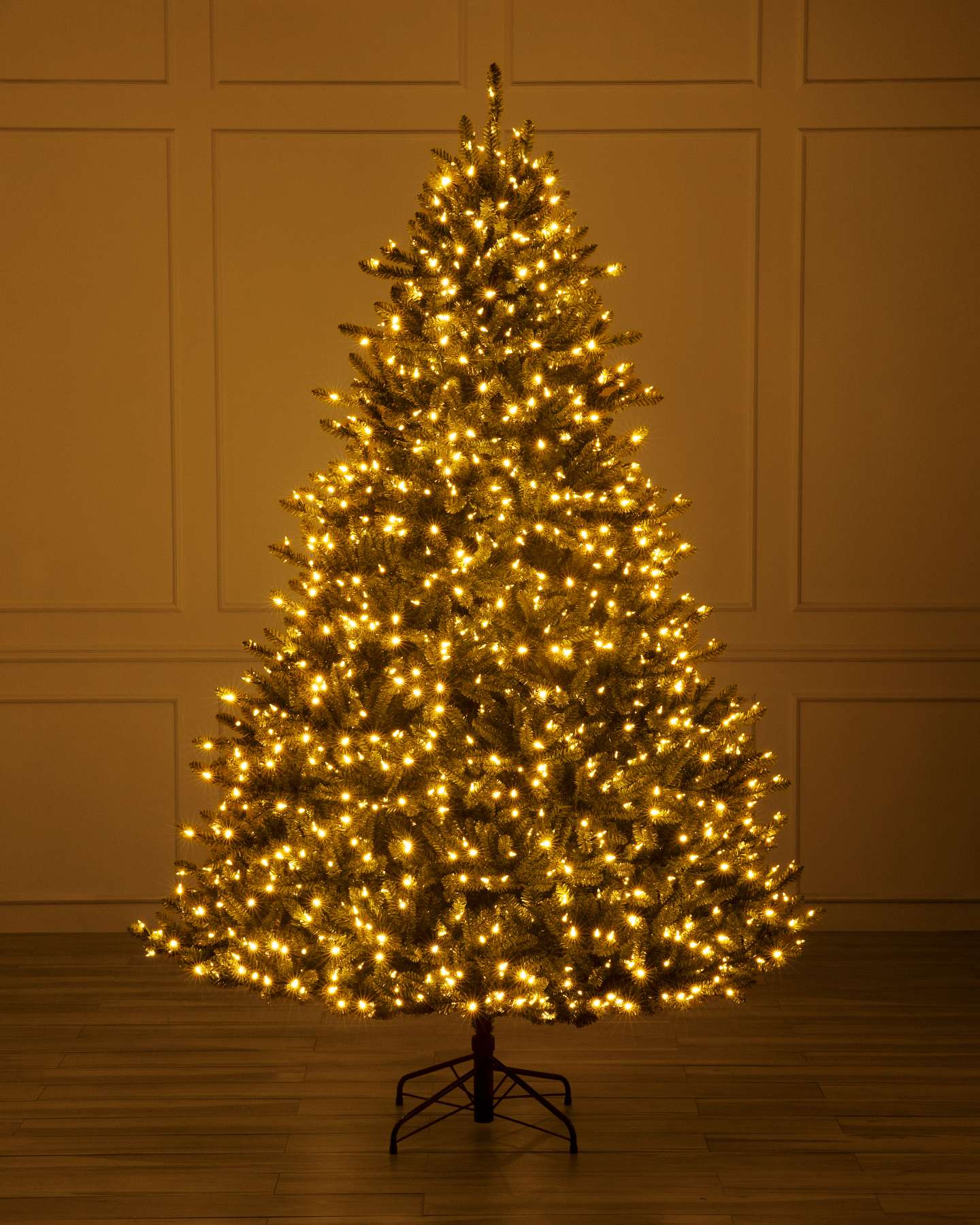 Classic Blue Spruce