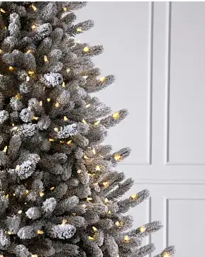 Frosted Vermont White Spruce Frosted Vermont White Spruce