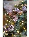 Winter Pinecone Christmas Picks, Set of 12 by Balsam Hill Blog 10