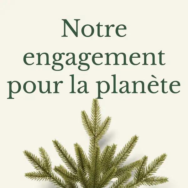En savoir plus