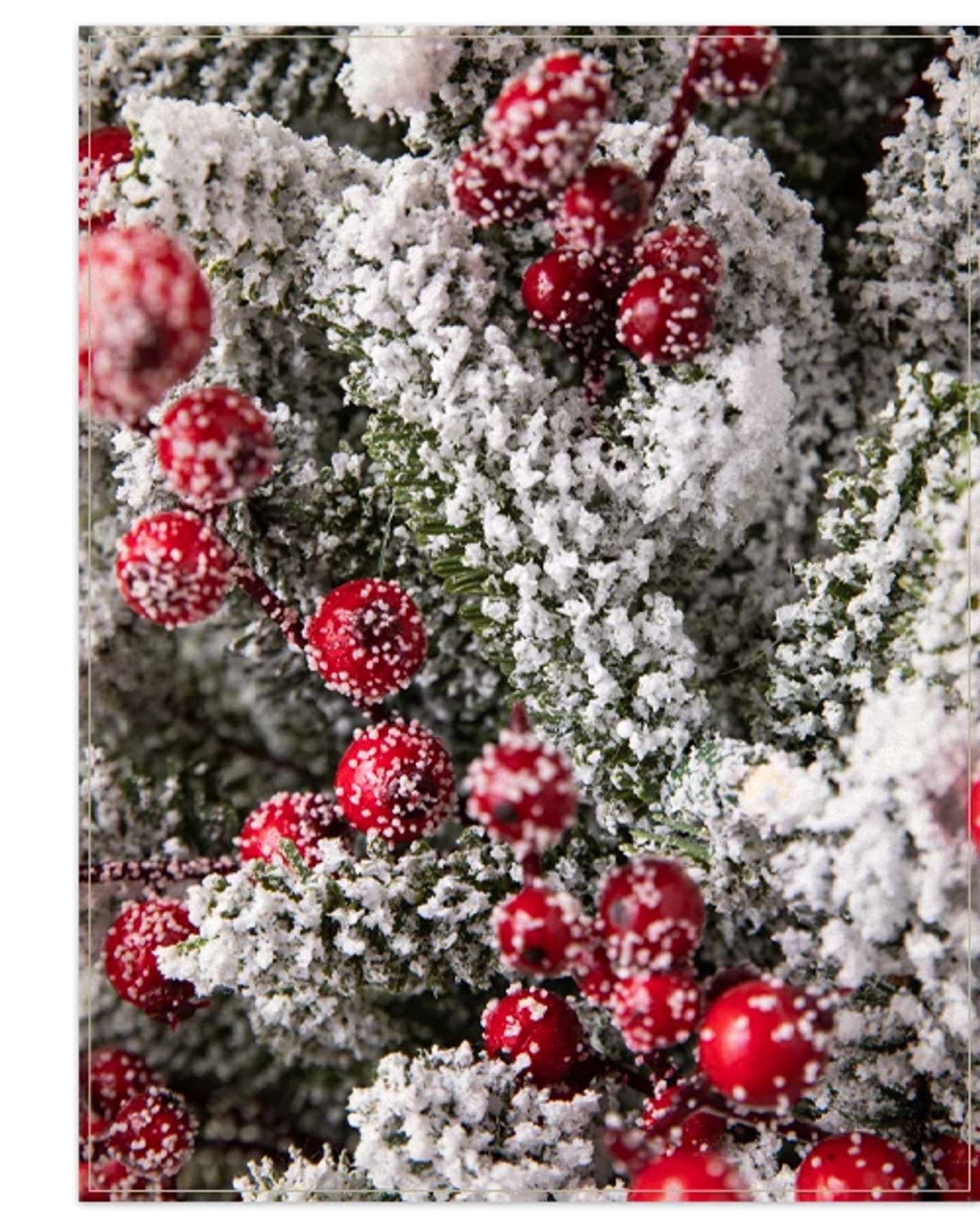 Balsam Hill Red Berry Frosted Fraser Fir Artificial Christmas Foliage Product Display