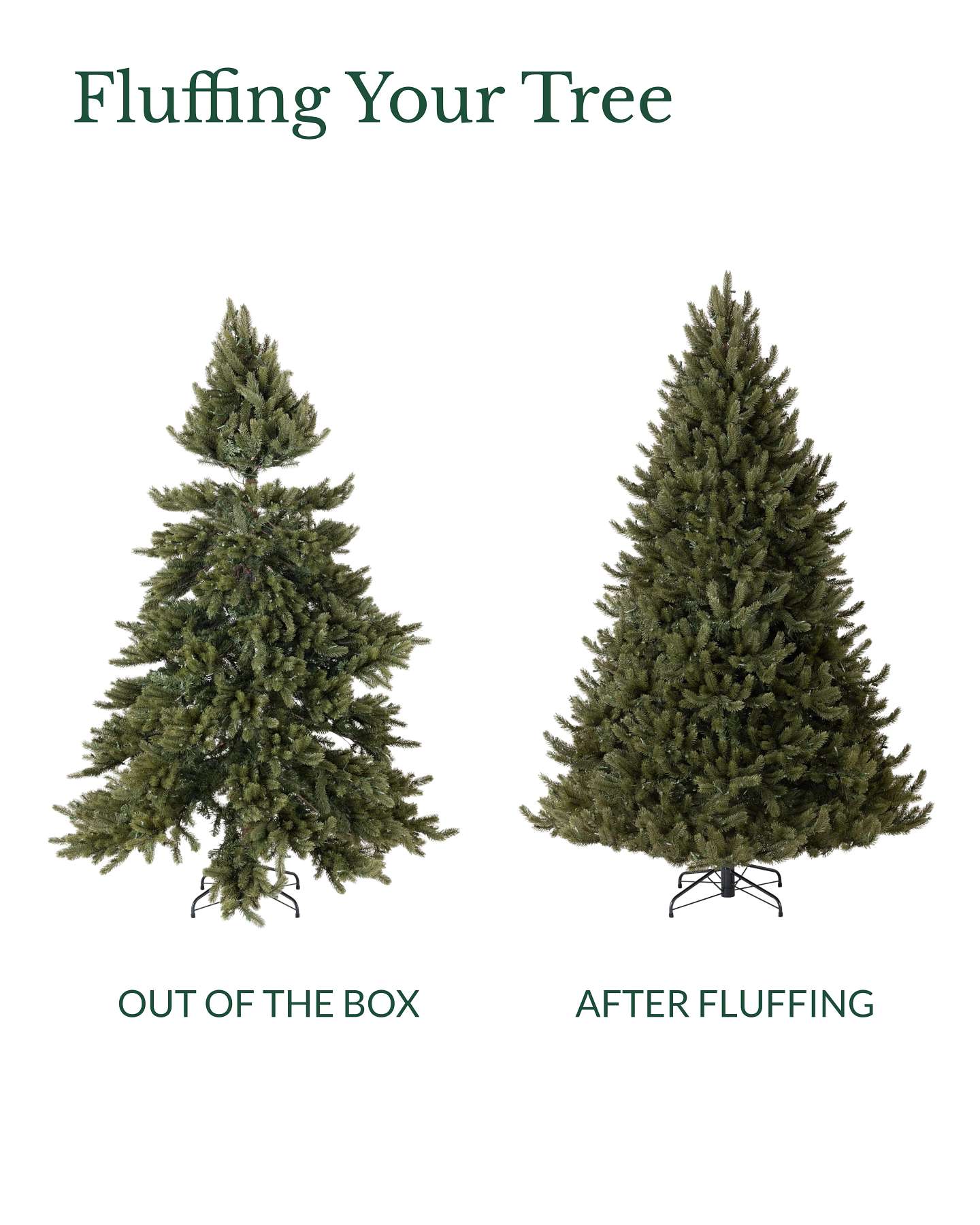 7.5' Vermont White Spruce