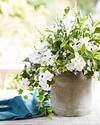 Outdoor White Rhapsody Foliage by Balsam Hill Lifestyle 40