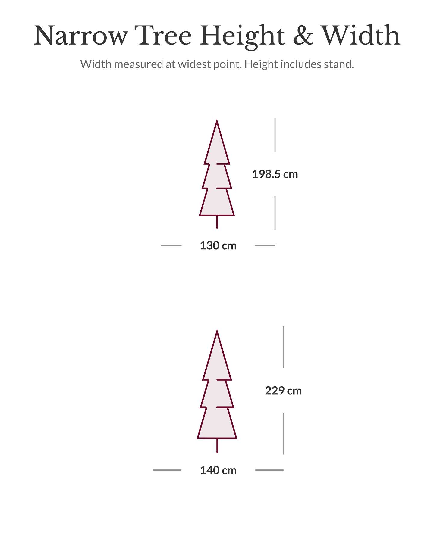 Vermont White Spruce® Narrow Tree