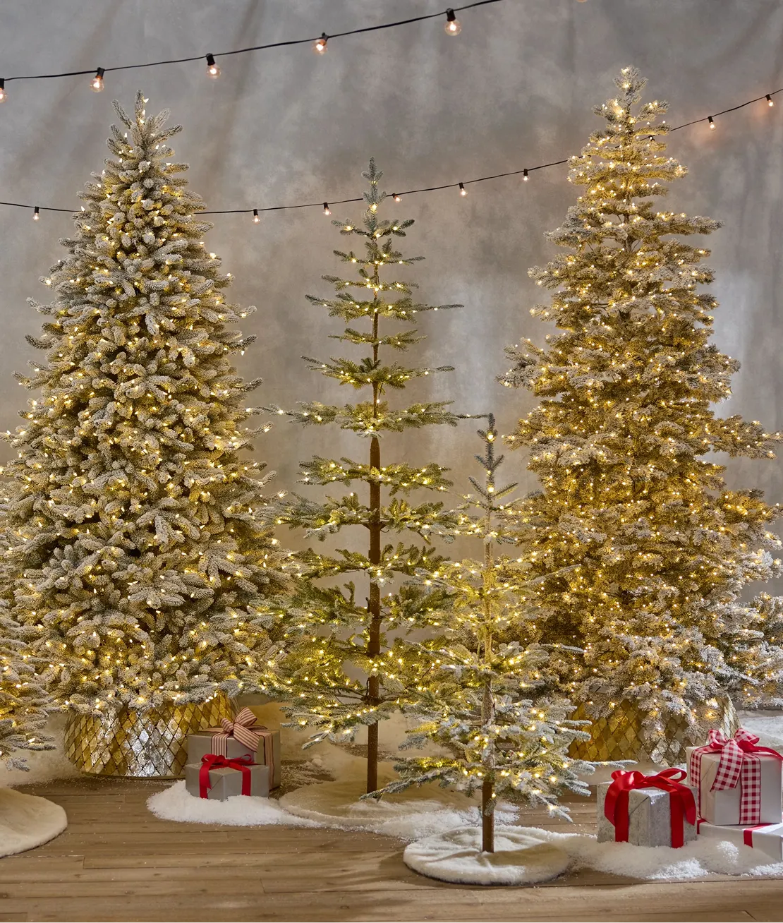 Shop Frosted & White Trees