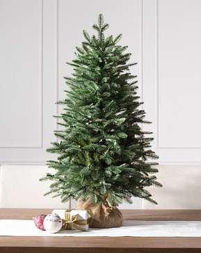 BH Balsam Fir Tabletop Tree with Burlap Base BH Balsam Fir Tabletop Tree with Burlap Base