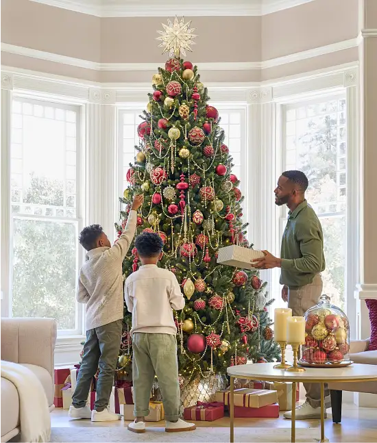 The Tree Shop