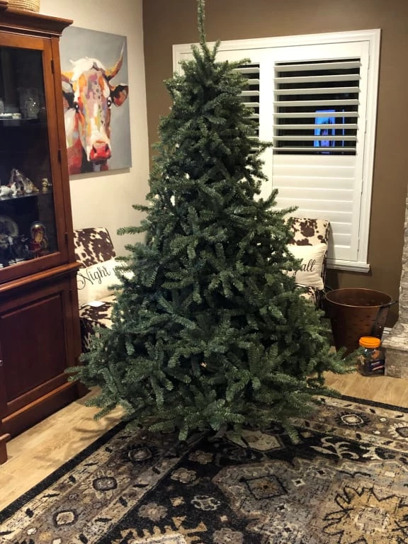 Classic Blue Spruce® Christmas Trees Balsam Hill