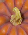 Tabletop Heirloom Pumpkins Set of 3 Closeup 50 by Balsam Hill