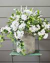 Outdoor White Rhapsody Potted Foliage by Balsam Hill SSC 40