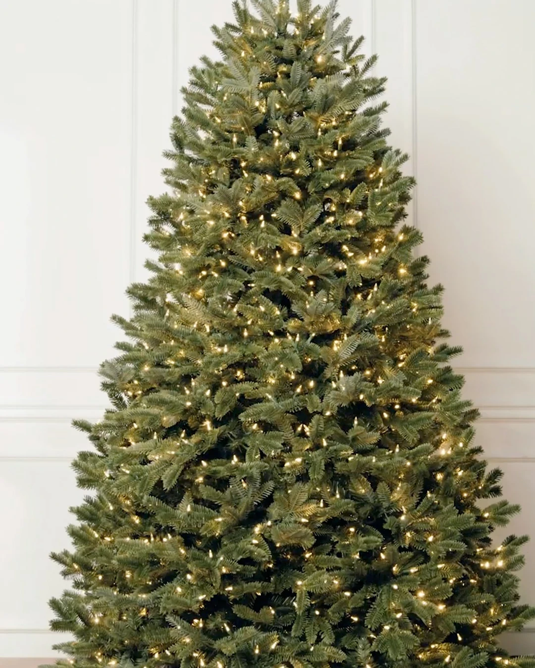 Sapins Fraser | Balsam Hill