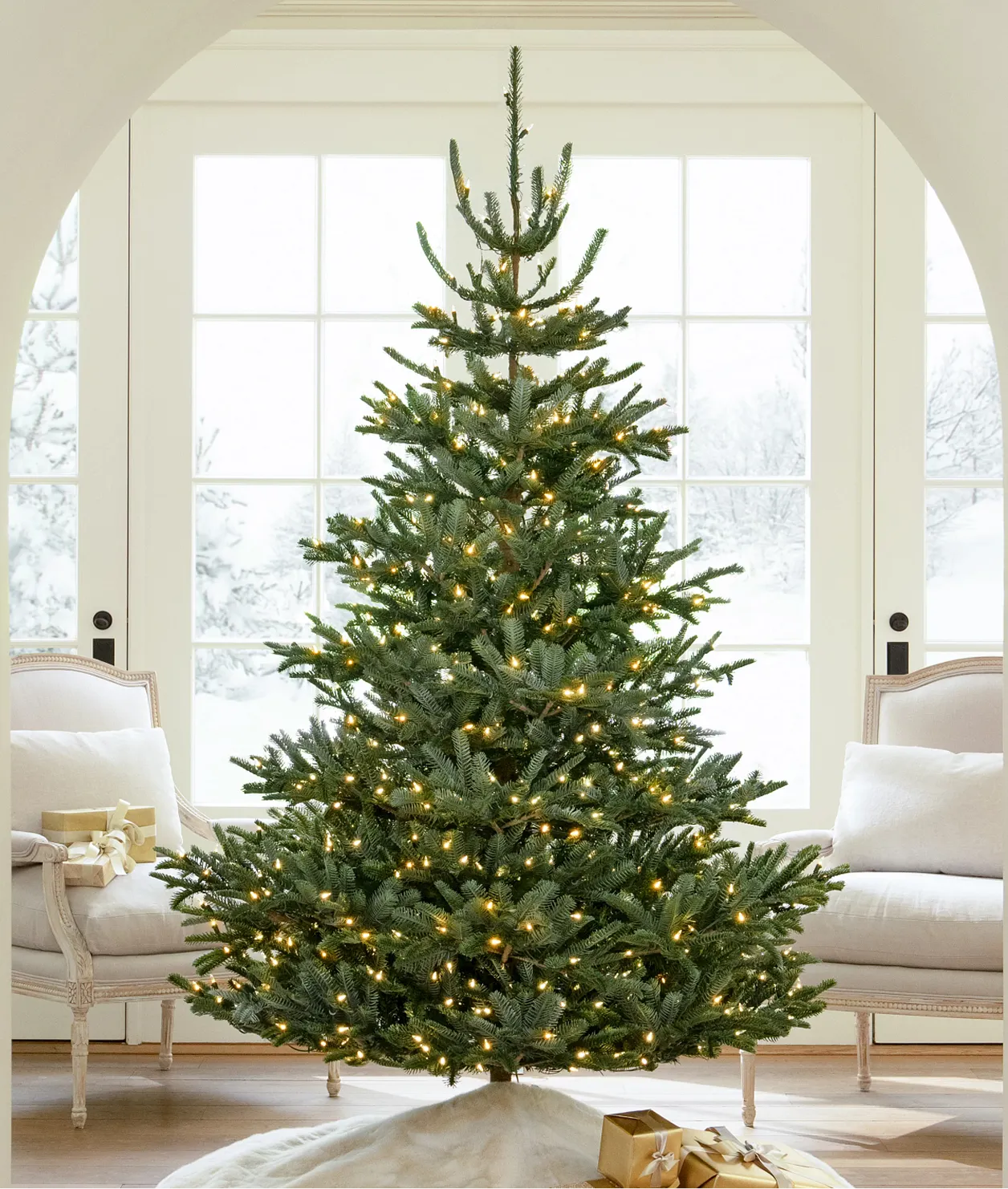 Shop Bestselling Trees