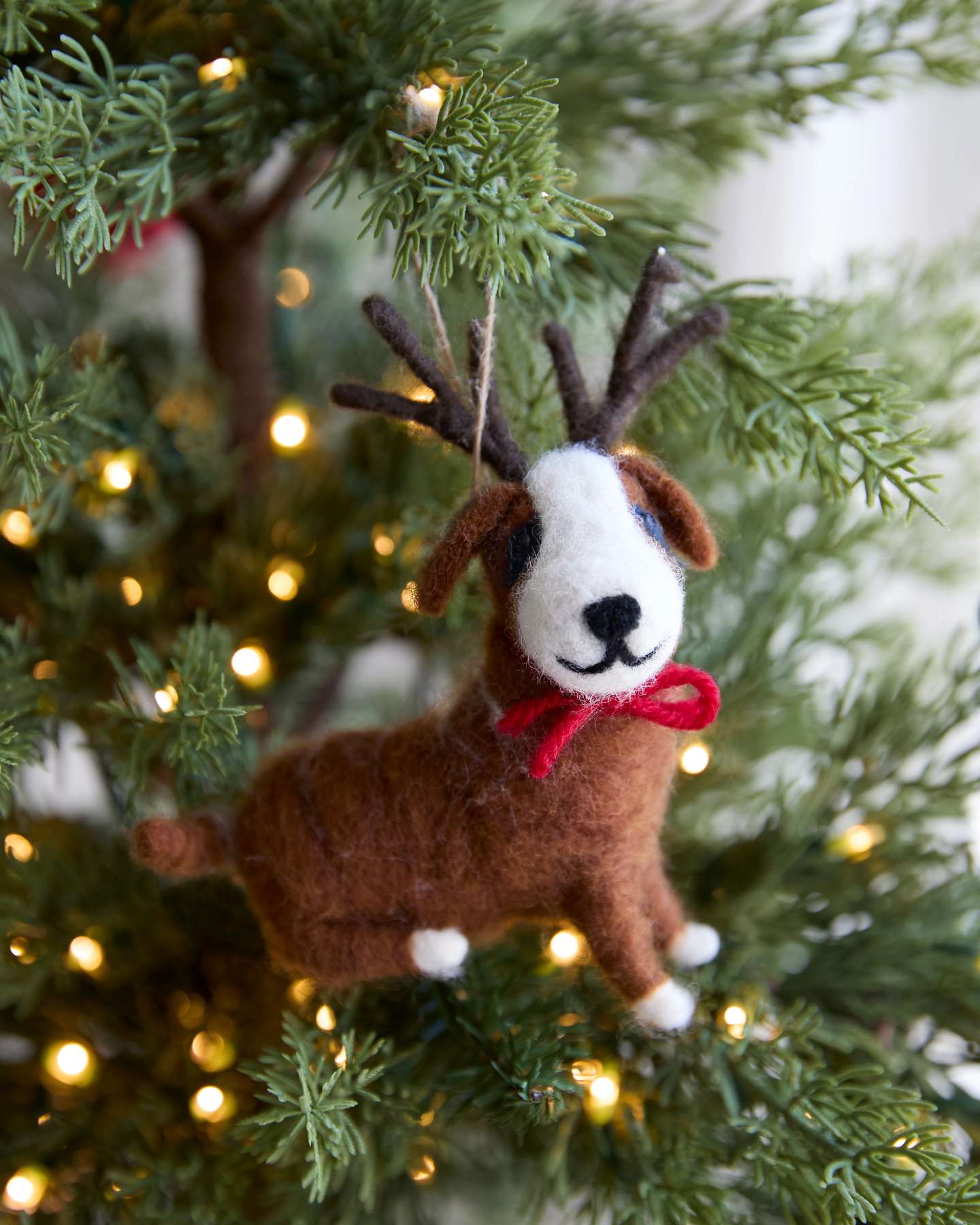 Reindeer Funfest Felt Ornament Set