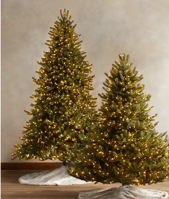 Tabletop Trees