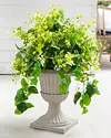 Rolling Hills Potted Foliage with Urn by Balsam Hill SSC