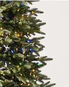 Stratford Spruce Stratford Spruce