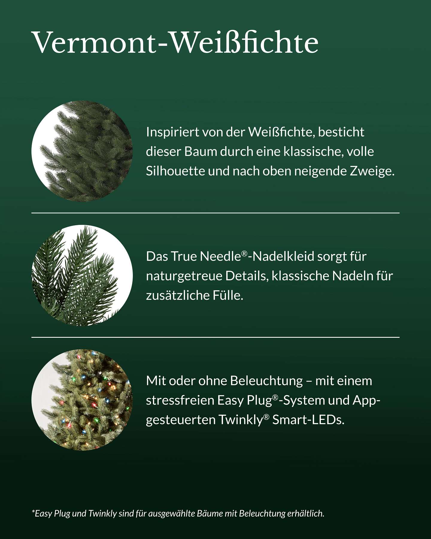 Vermont-Weißfichte