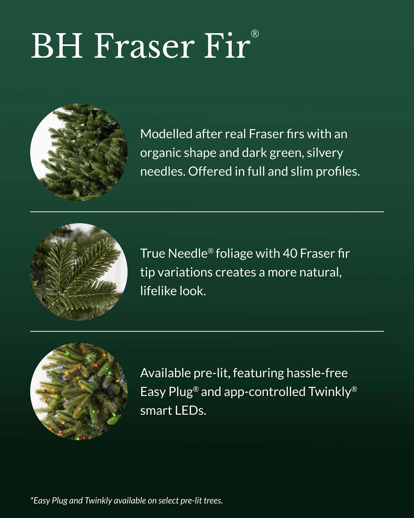 6.5' BH Fraser Fir Flip Tree®