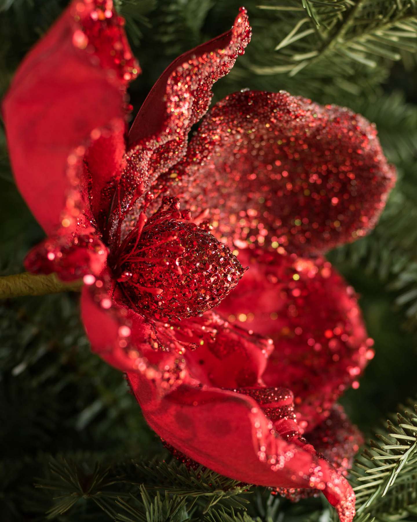 Balsam Hill Red Glitter Magnolia Artificial Christmas Tree Picks Set of 12 Detailed View