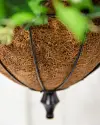 Outdoor Vivid Blooms Hanging Basket by Balsam Hill Closeup 15