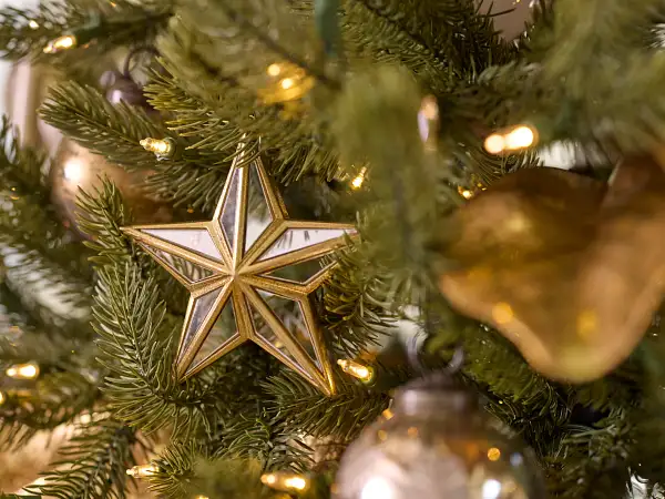 Featured: Mirrored Star Ornament