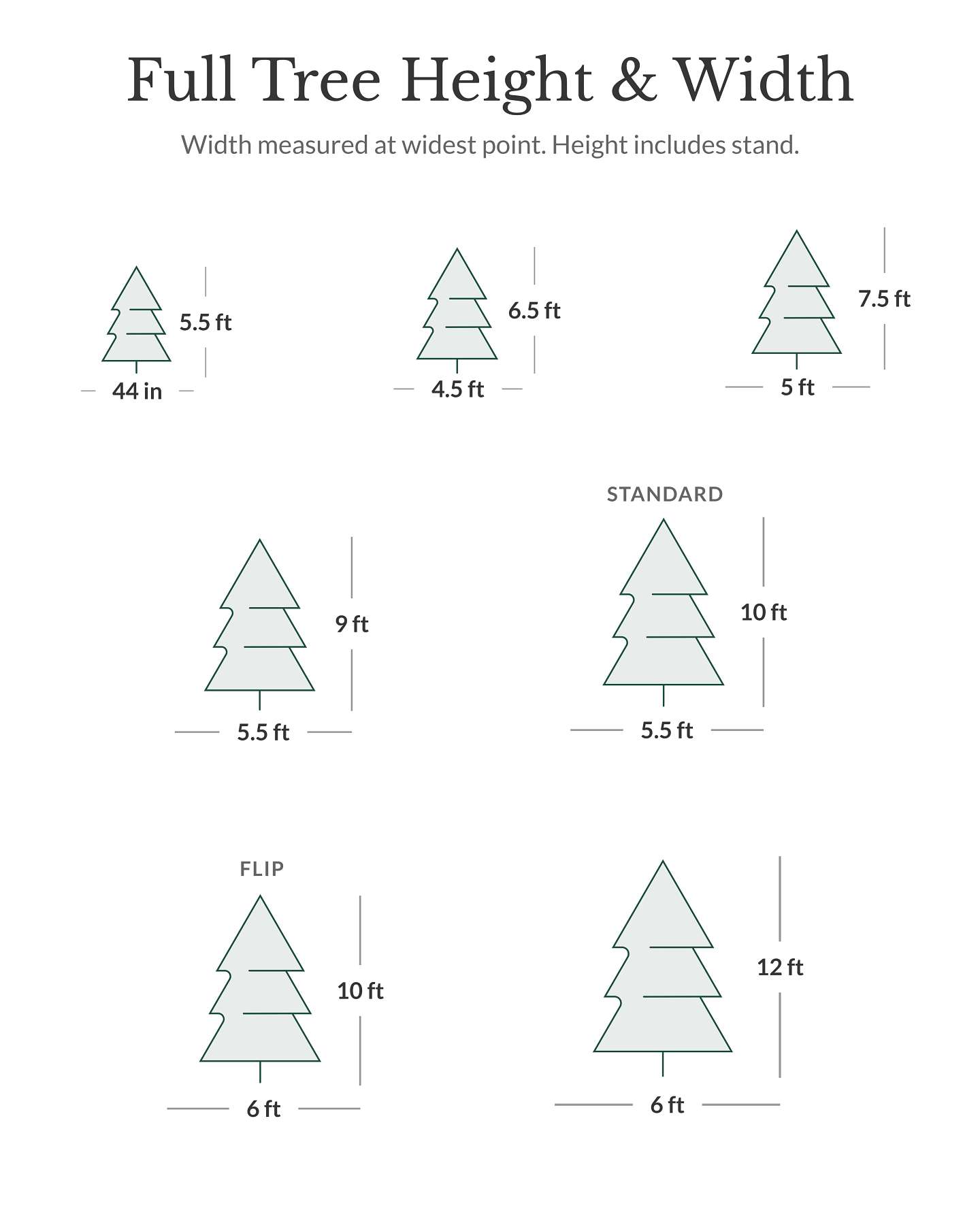 BH Fraser Fir