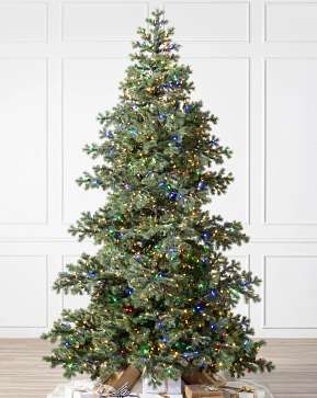 Yukon Spruce Yukon Spruce