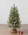 Frosted BH Balsam Fir Tabletop 42 inches LEDCF by Balsam Hill SSC